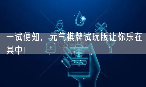 一试便知,元气棋牌试玩版让你乐在其中!