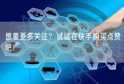 想要更多关注？试试在快手购买点赞吧！