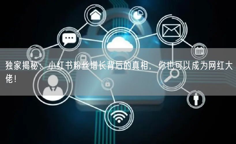 独家揭秘：小红书粉丝增长背后的真相，你也可以成为网红大佬！