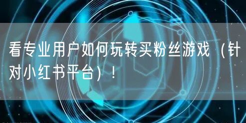 看专业用户如何玩转买粉丝游戏（针对小红书平台）!