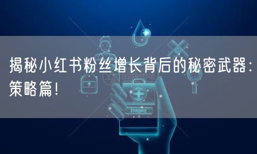 揭秘小红书粉丝增长背后的秘密武器：策略篇！