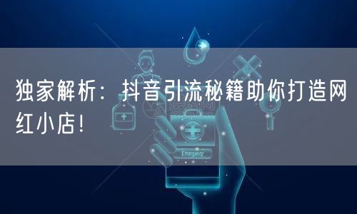 独家解析：抖音引流秘籍助你打造网红小店！