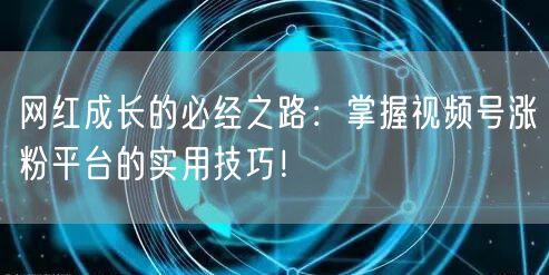 网红成长的必经之路：掌握视频号涨粉平台的实用技巧！