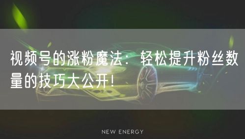 视频号的涨粉魔法：轻松提升粉丝数量的技巧大公开！